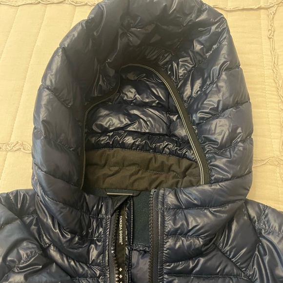 Cansa goose - Picture 13 of 16